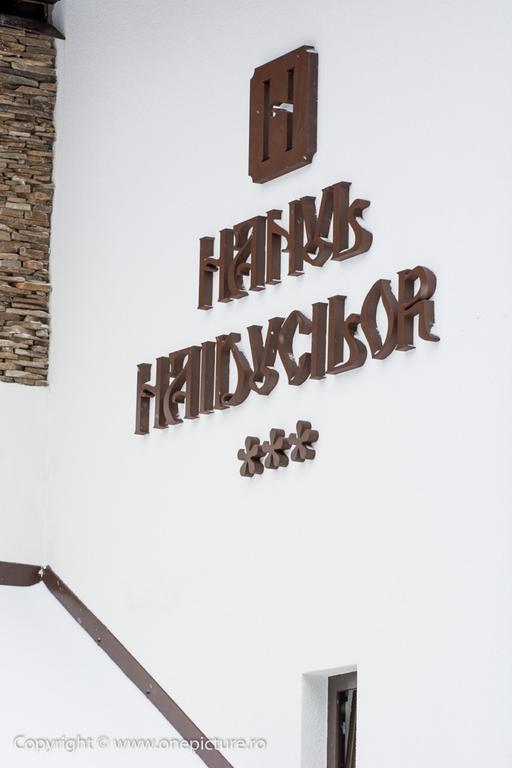 Hanul Haiducilor Obarsia-Lotrului Εξωτερικό φωτογραφία