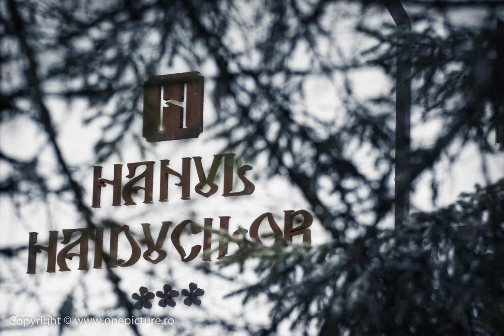 Hanul Haiducilor Obarsia-Lotrului Δωμάτιο φωτογραφία